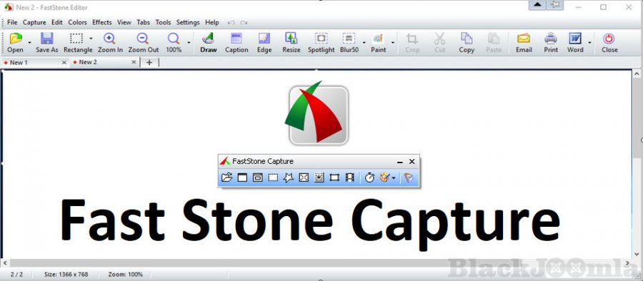 Faststone capture