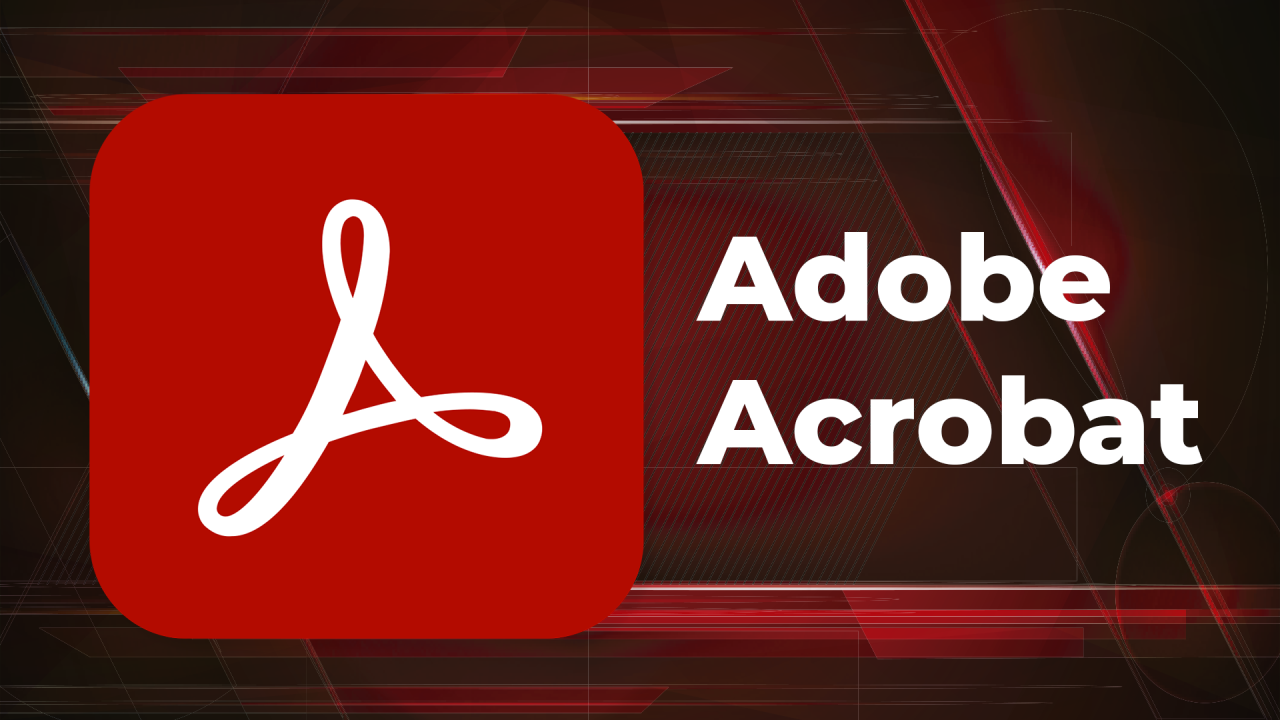 Adobe reader online