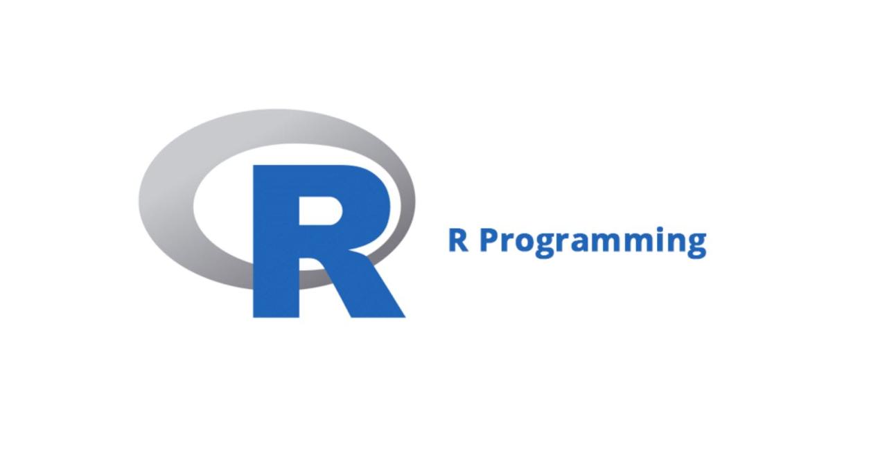 R programming language